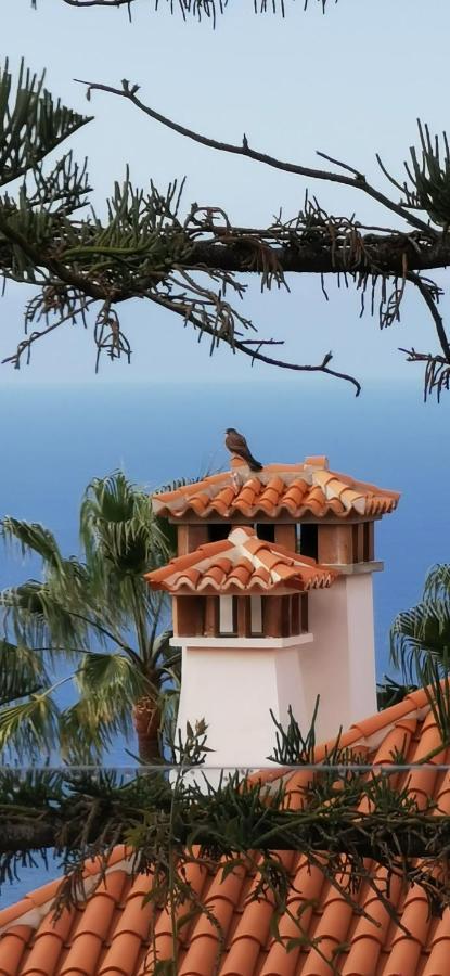 Casa Moja - La Palma Villa ตาซากอร์เต ภายนอก รูปภาพ